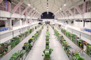 Wiosenna edycja Festiwalu Roślin