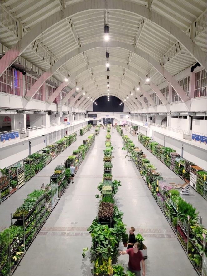 Wiosenna edycja Festiwalu Roślin