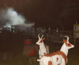 SZOK! Ktoś podpalił zagrodę? Wszystkie zwierzęta spłonęły żywcem