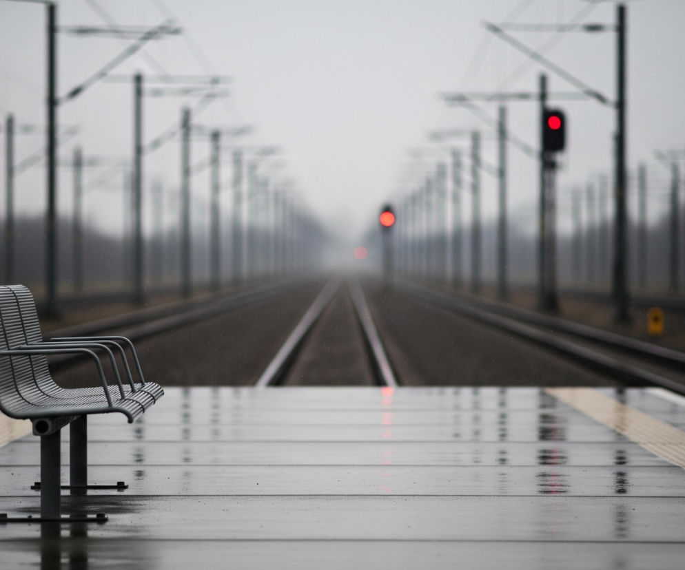 Na pierwszym planie, z lewej strony, stoi metalowa ławka o szarym kolorze, jej powierzchnia jest gładka i lśniąca od wilgoci, z widocznymi poziomymi szczelinami na siedzisku i oparciu. Ławka znajduje się na mokrym peronie, który ma ciemnoszarą barwę i jest pokryty drobnymi kroplami wody, odbijającymi światło. Wzdłuż peronu biegnie żółta, teksturowana linia ostrzegawcza.

Za ławką rozciąga się torowisko kolejowe z dwoma równoległymi torami, które zanikają w oddali, w tle dominuje mglisty, szary krajobraz. Wzdłuż torów ustawione są słupy trakcyjne i linie energetyczne, które również znikają w mgle, tworząc wrażenie głębi. Na tle tego pejzażu wyróżniają się dwa czerwone sygnały świetlne, jeden bliżej i wyraźniejszy po prawej stronie, a drugi mniejszy i bardziej rozmyty w oddali, pośrodku kadru.