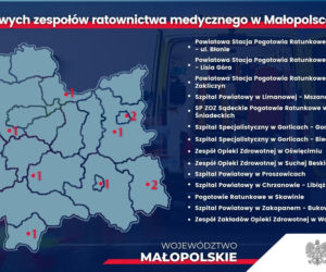 Piąta fala i omikron utrudniają pracę służby zdrowia. Od 1 lutego dodatkowe karetki w Małopolsce