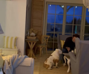 Małgorzata Rozenek-Majdan