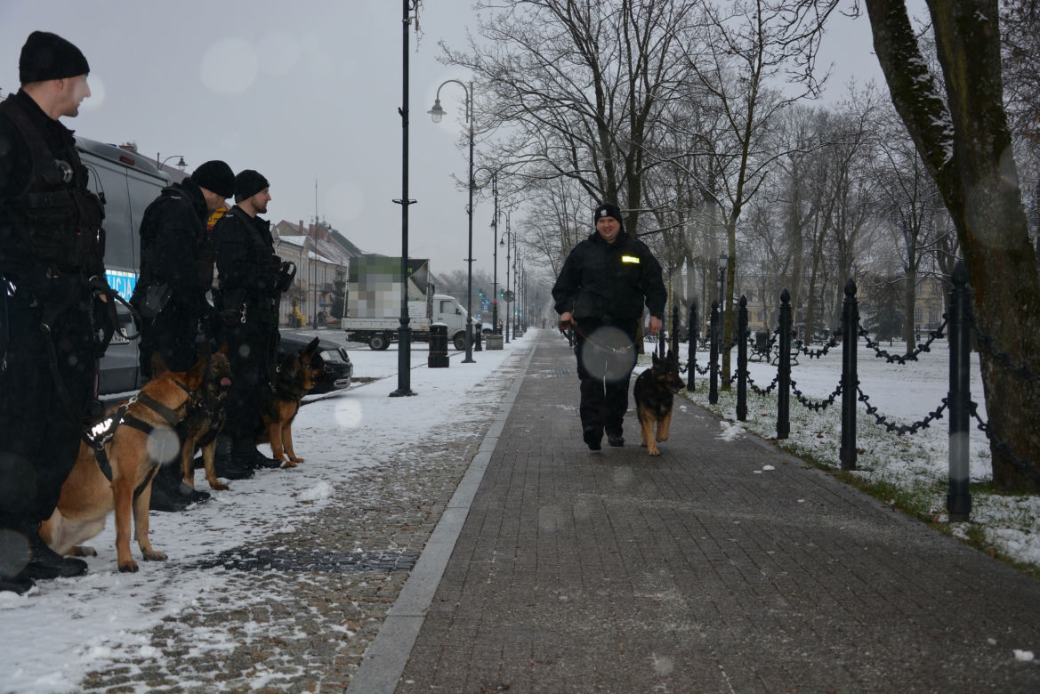 Tazer, policjant na 4 łapach, przeszedł na emeryturę