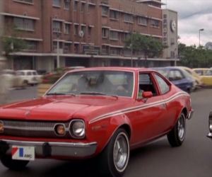 AMC Hornet X