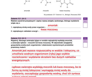 Matura próbna 2026 - biologia. Wszystkie odpowiedzi do arkusza CKE z biologii 14.01.2026