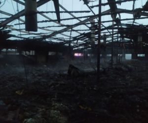 Krzywiec. Pożar kompleksu kurników. Padło 20 tys. sztuk perliczek