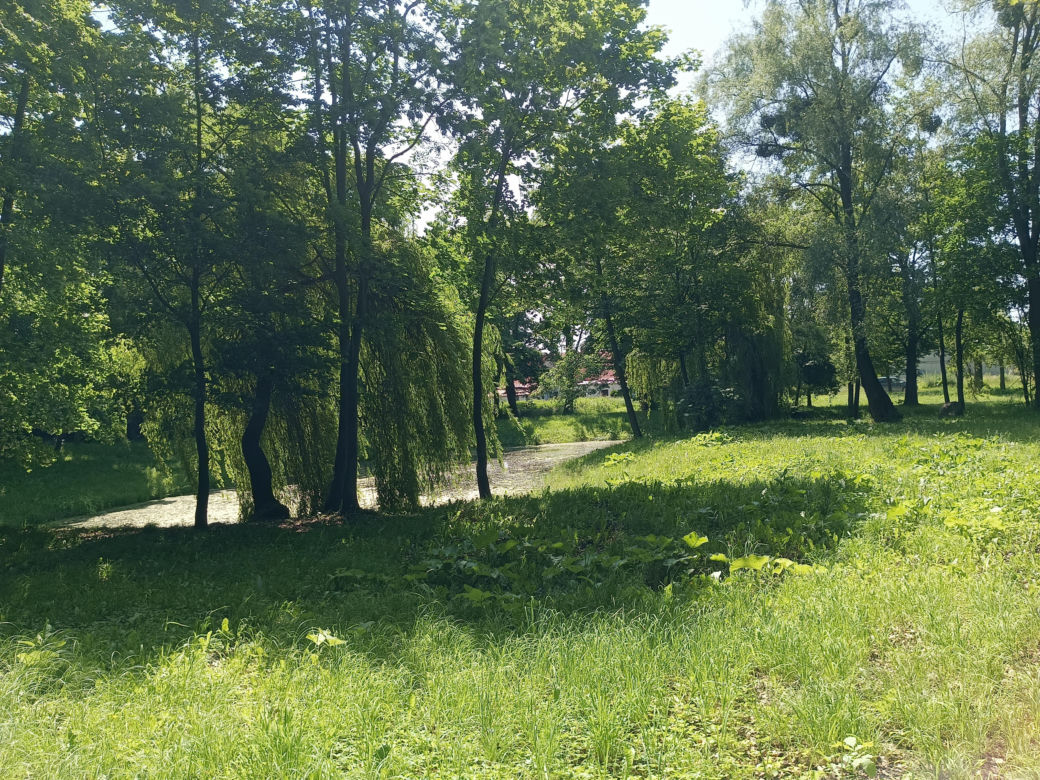 Parki podworskie w powiecie gdańskim