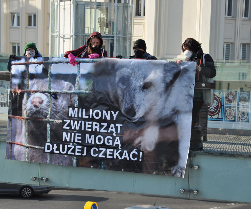 Dzień Bez Futra w Rzeszowie. Aktywiści wywiesili baner na ogrągłej kładce
