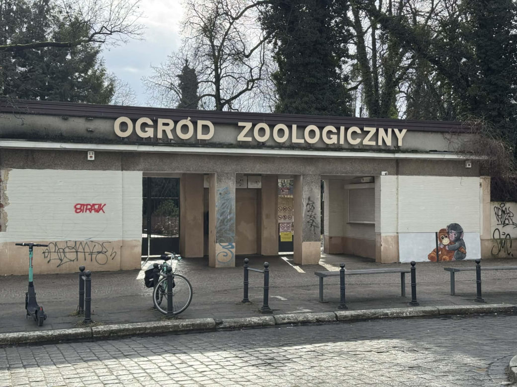 Artysta namalował mural z małpką Punch i wpadł w kłopoty! Zaskakujący finał