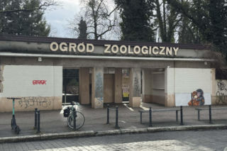 Artysta namalował mural z małpką Punch i wpadł w kłopoty! Zaskakujący finał