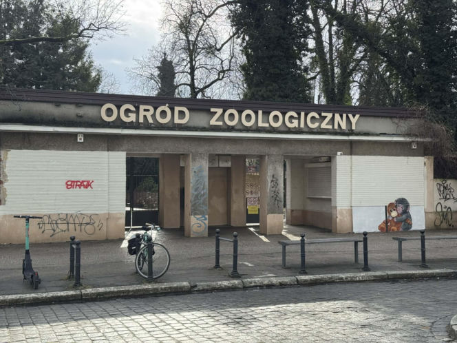 Artysta namalował mural z małpką Punch i wpadł w kłopoty! Zaskakujący finał