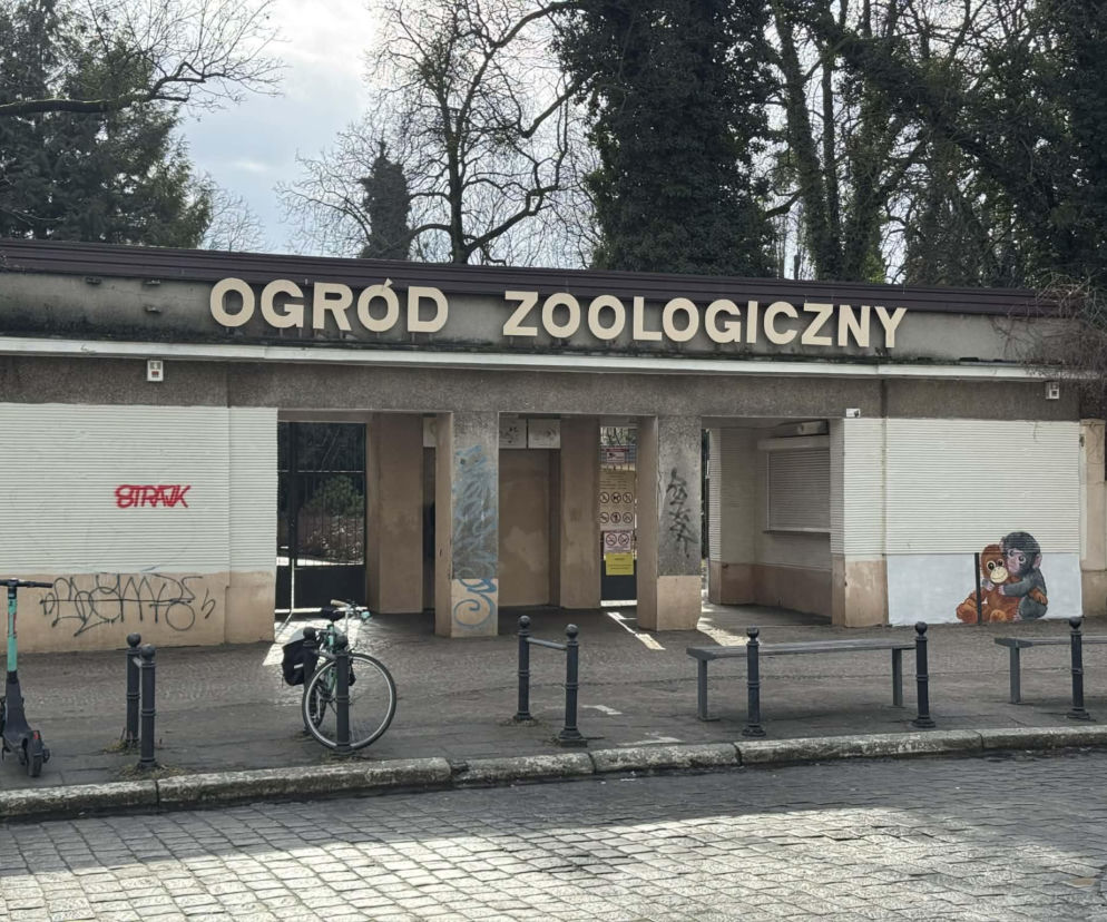 Artysta namalował mural z małpką Punch i wpadł w kłopoty! Zaskakujący finał