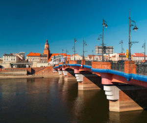 Gdzie Polacy piją najwięcej? Zatrważające dane o sprzedaży małpek