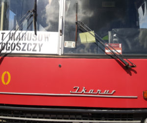 Zlot zabytkowych autobusów w Bydgoszczy