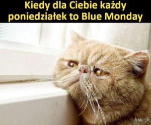 MEMY na Blue Monday. To nie musi być najbardziej depresyjny dzień w roku