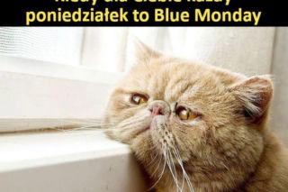 MEMY na Blue Monday. To nie musi być najbardziej depresyjny dzień w roku