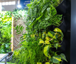 BUDMA 2026 - zdjęcia