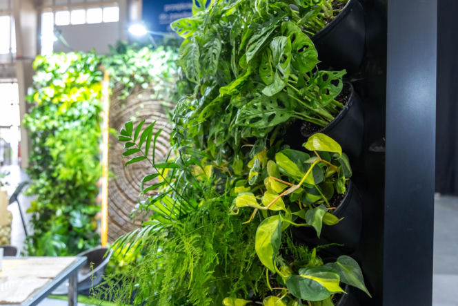 BUDMA 2026 - zdjęcia