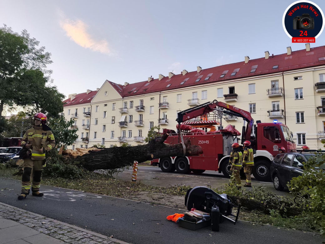 Drzewo spadło na sieć trakcyjną