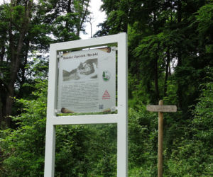 Budniki