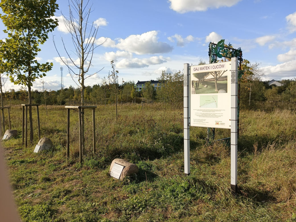 Gaj Matek i Ojców w Gdańsku zaniedbany. Miał być symboliczny park, są uschnięte drzewa i wysoka trawa