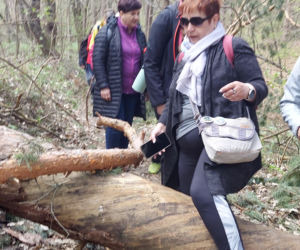 52. Rajd Spotkanie z wiosną