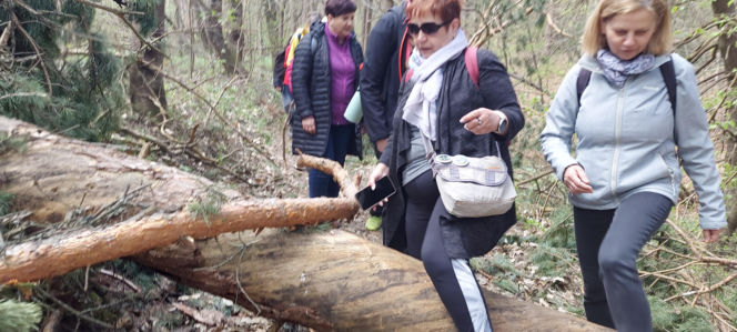 52. Rajd Spotkanie z wiosną