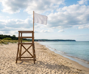 Sinice Sopot 16.07. Czy w Sopocie można się dzisiaj kąpać? Flaga, warunki pogodowe