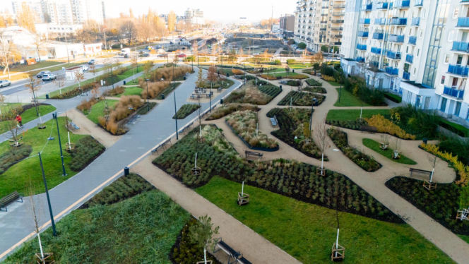 Park nad Południową Obwodnicą Warszawy w marcu 2026 r.