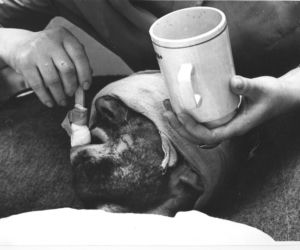 Przeżył pod zwałami węgla pijąc własny mocz