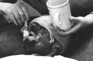 Przeżył pod zwałami węgla pijąc własny mocz