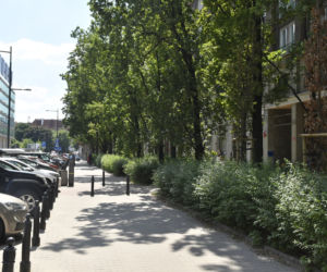 Ulica Krucza zostanie zwężona