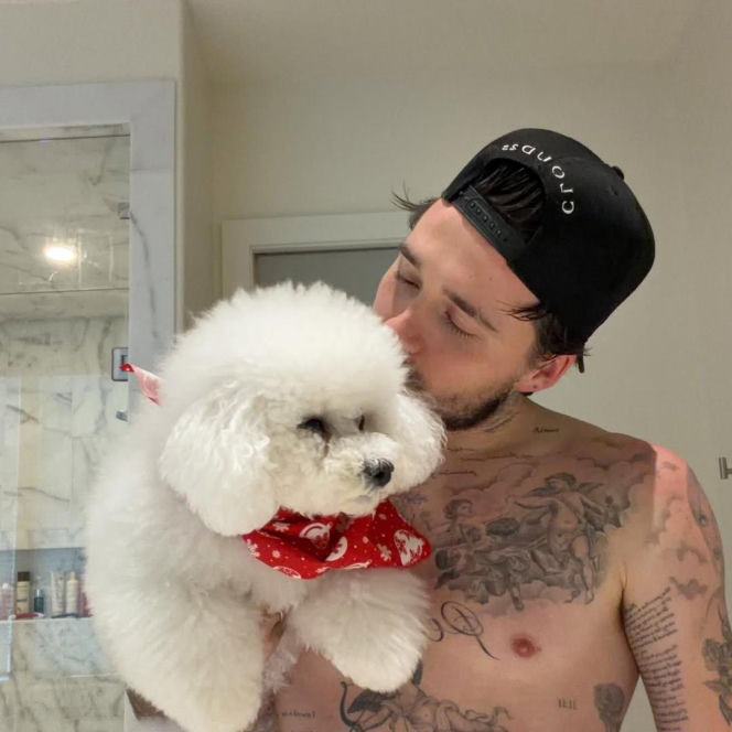 Konflikt w rodzinie Beckhamów