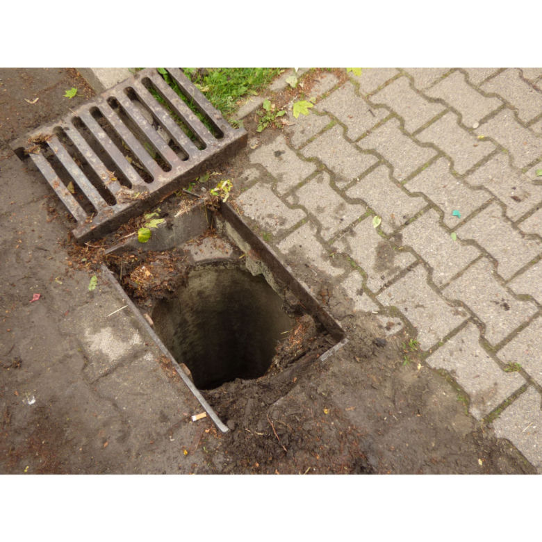 Eko patrol uratował małe kaczuszki