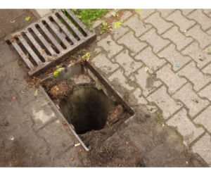 Eko patrol uratował małe kaczuszki