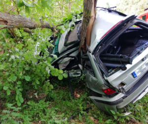 Samochód BMW owinął się wokół drzewa! [ZDJĘCIA]