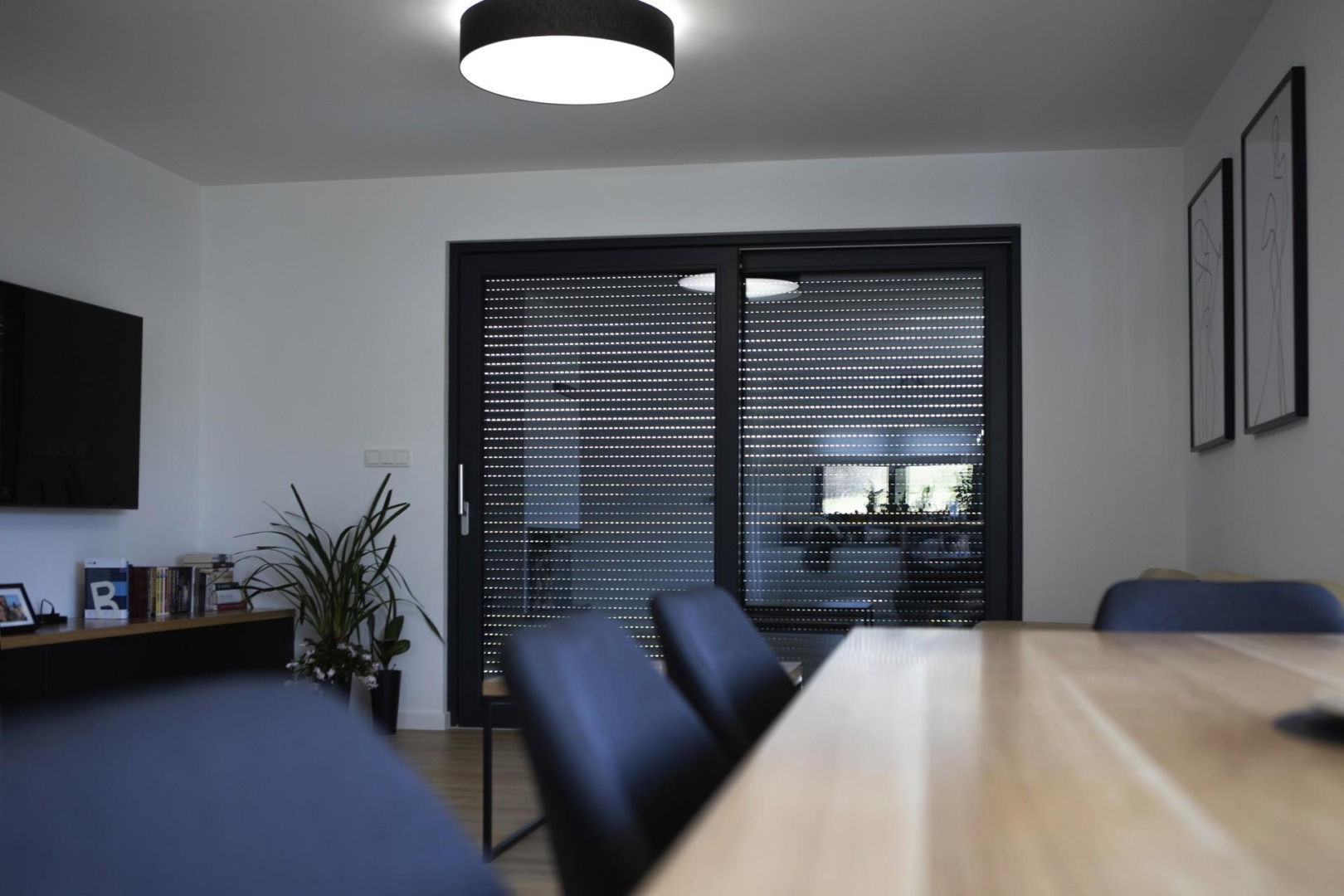 Rolety PROTECTA WIŚNIOWSKI