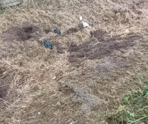 Zabił Walentynę, bo chciała od niego odjeść. Koszmar na Mazowszu