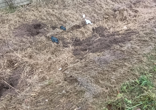 Zabił Walentynę, bo chciała od niego odjeść. Koszmar na Mazowszu