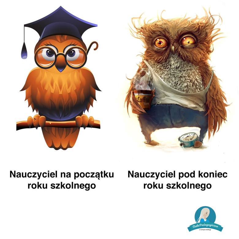 Najlepsze memy z okazji zakończenia roku szkolnego! 
