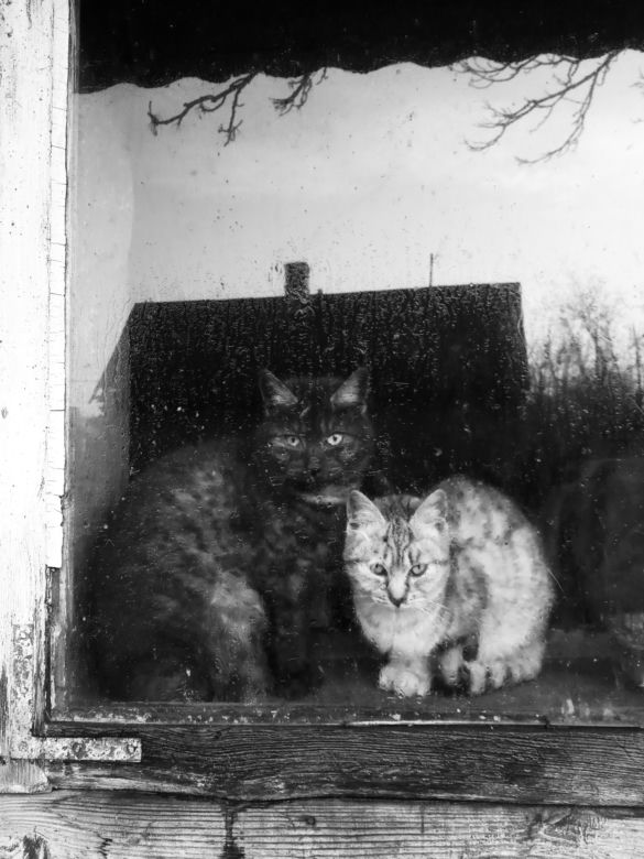 Fotografie Ewa Łuczywo Nowak
