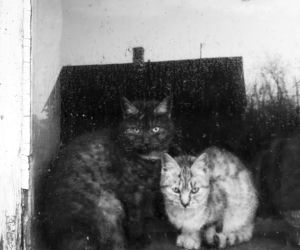 Fotografie Ewa Łuczywo Nowak