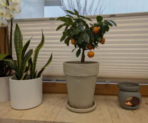 Małe SPA w hospicjum