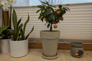 Małe SPA w hospicjum