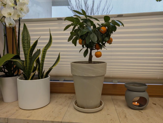 Małe SPA w hospicjum