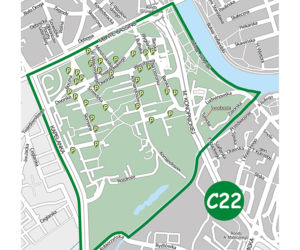Podstrefa C22