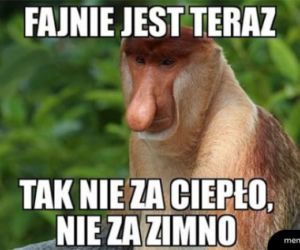 Memy o pogodzie