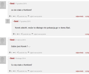 Na Wspólnej, pies Korek