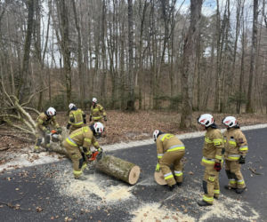 Zerwane dachy, powalone drzewa i prawie 11 tysięcy odbiorców bez prądu!