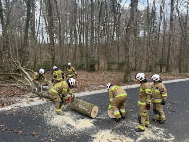 Zerwane dachy, powalone drzewa i prawie 11 tysięcy odbiorców bez prądu!